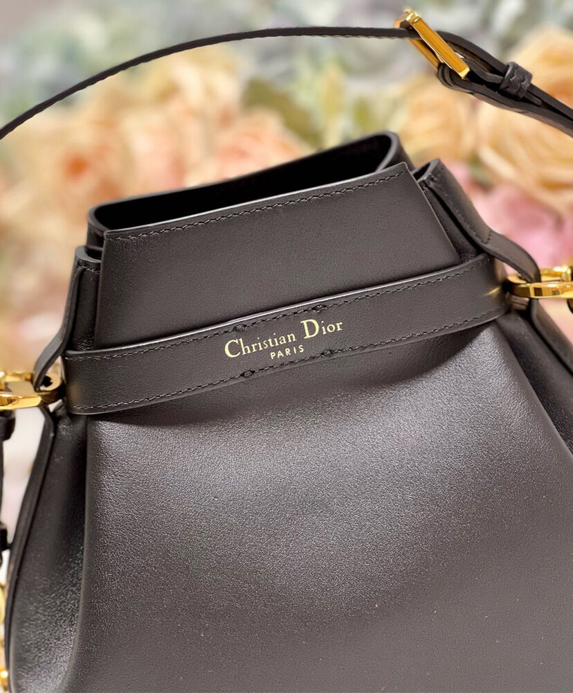 Medium C'est Dior Bag