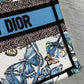 Small Dior Book Tote