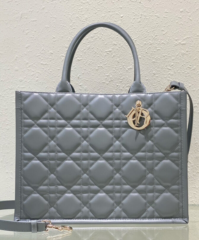 Medium Dior Book Tote