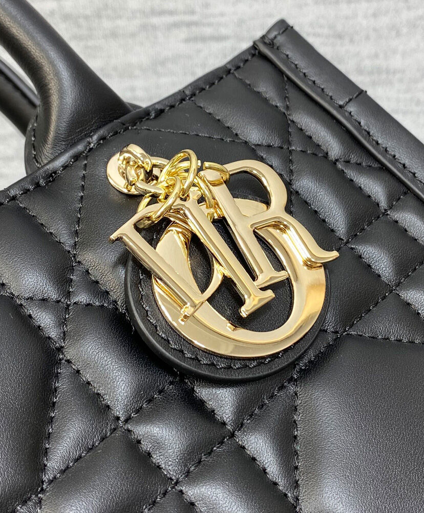 Small Dior Book Tote