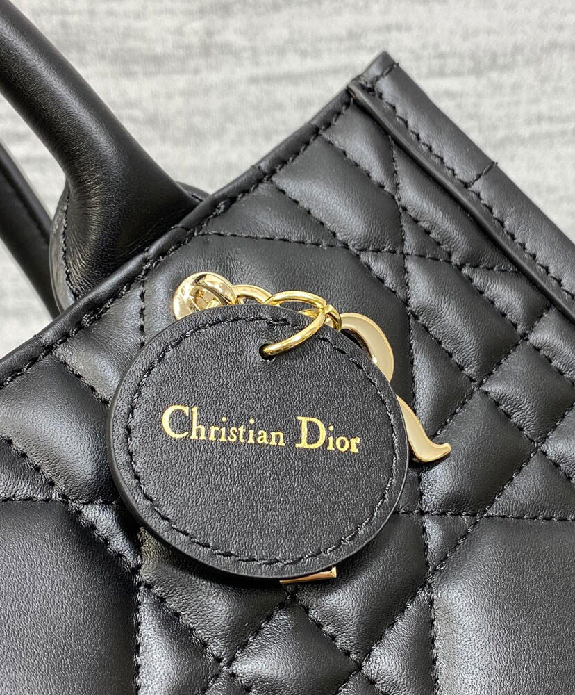 Small Dior Book Tote