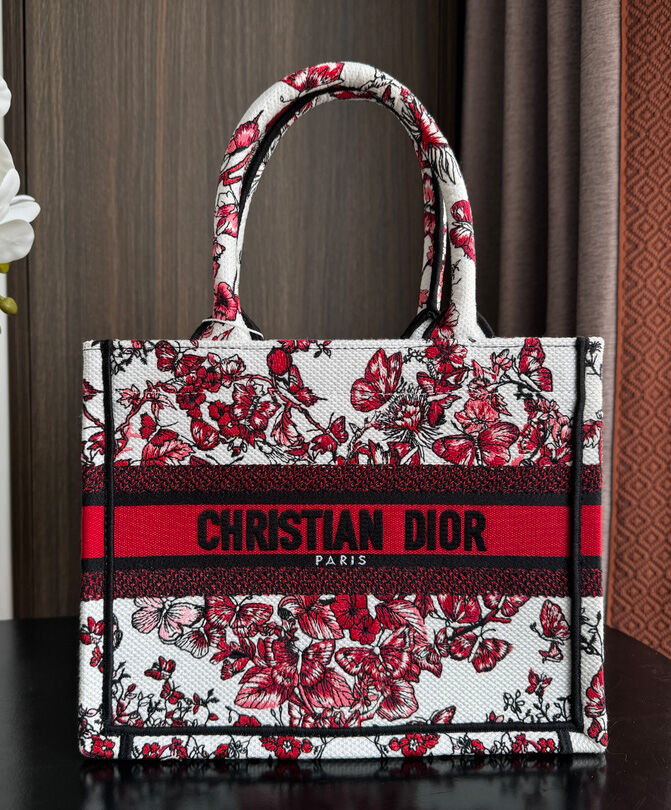 Small Dior Book Tote