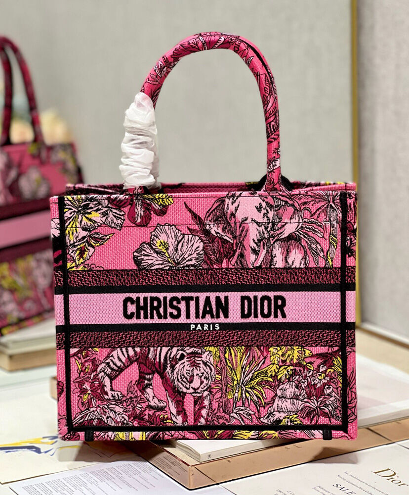 Small Dior Book Tote