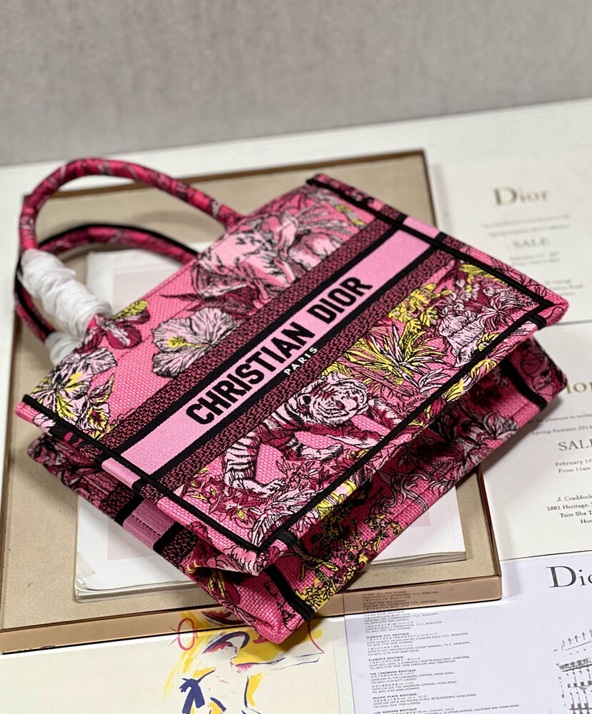 Small Dior Book Tote