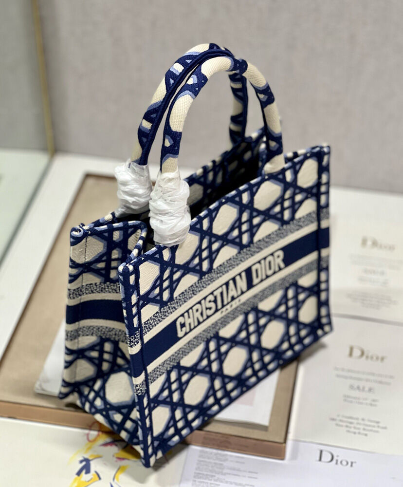 Small Dior Book Tote