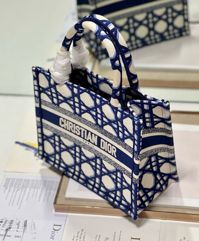 Small Dior Book Tote