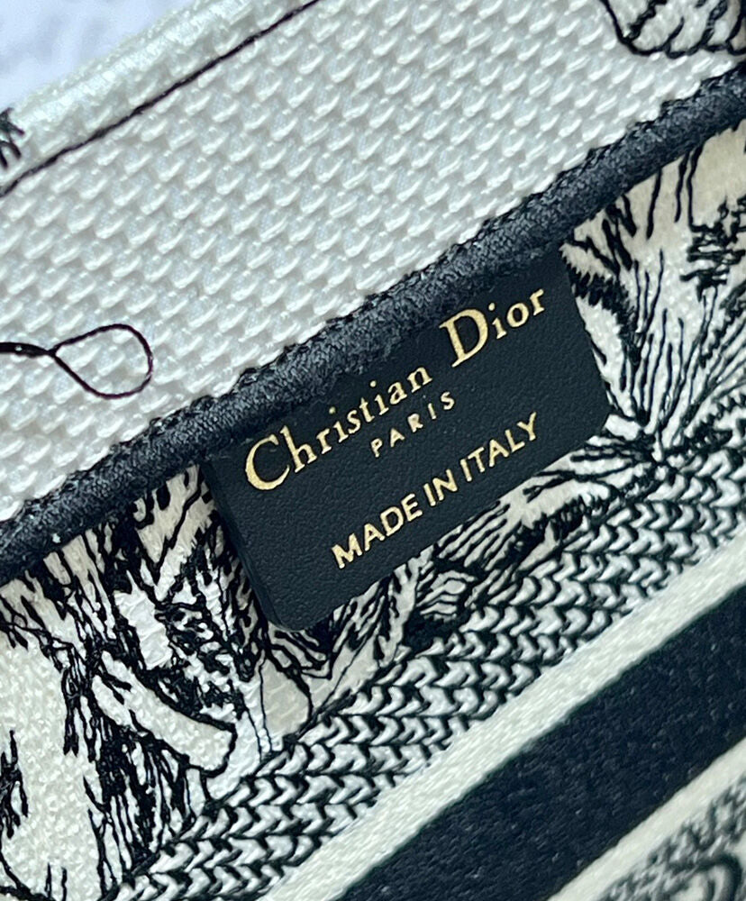 Small Dior Book Tote