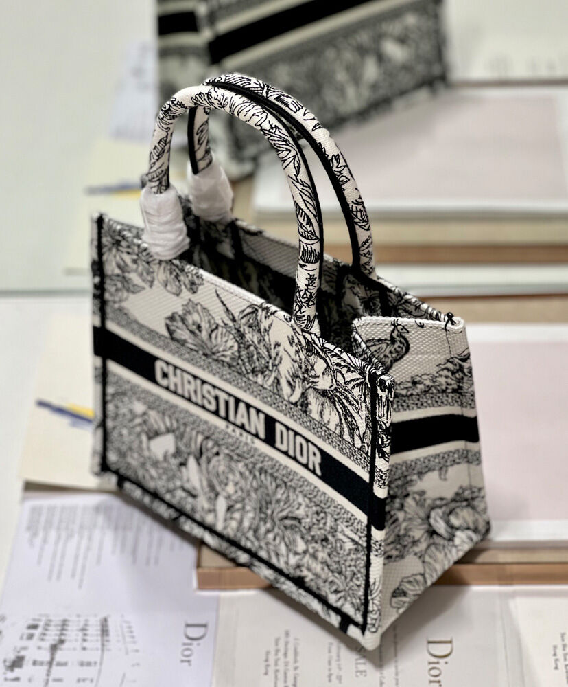 Small Dior Book Tote