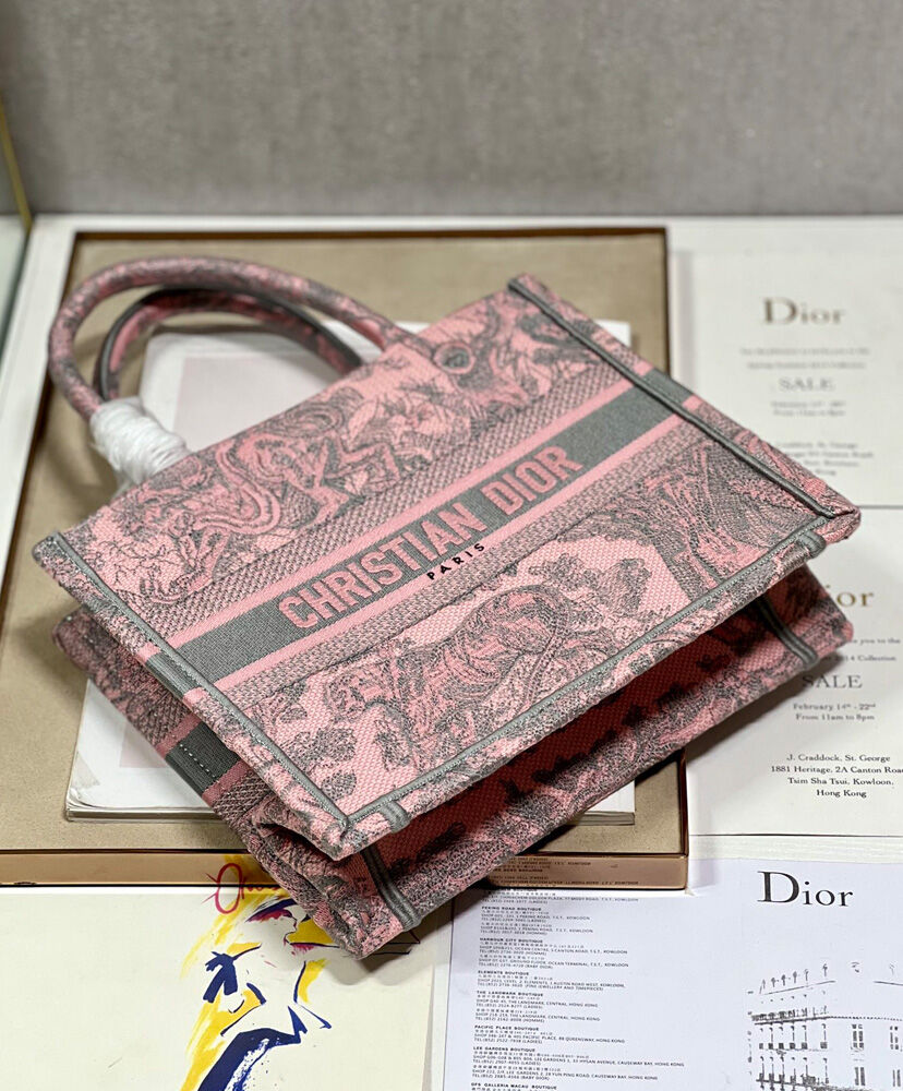 Small Dior Book Tote