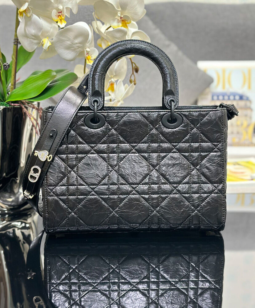 Medium Lady D-Sire My ABCDior Bag