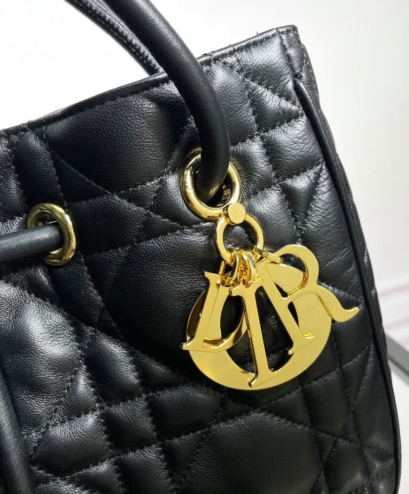 Medium Dior Nolita Bag