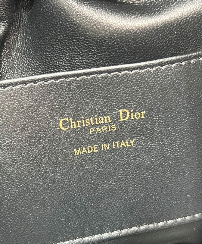 Walk in Dior Purse