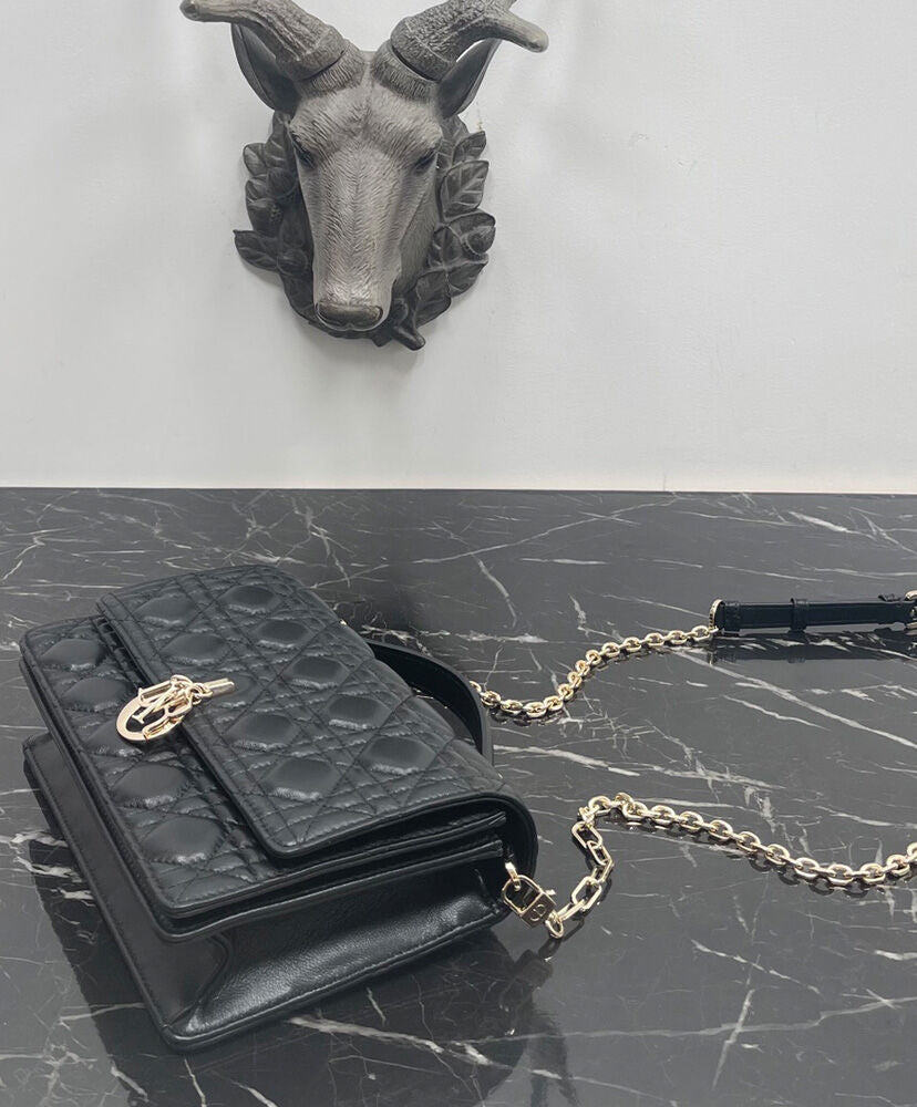 Miss Dior Top Handle Bag