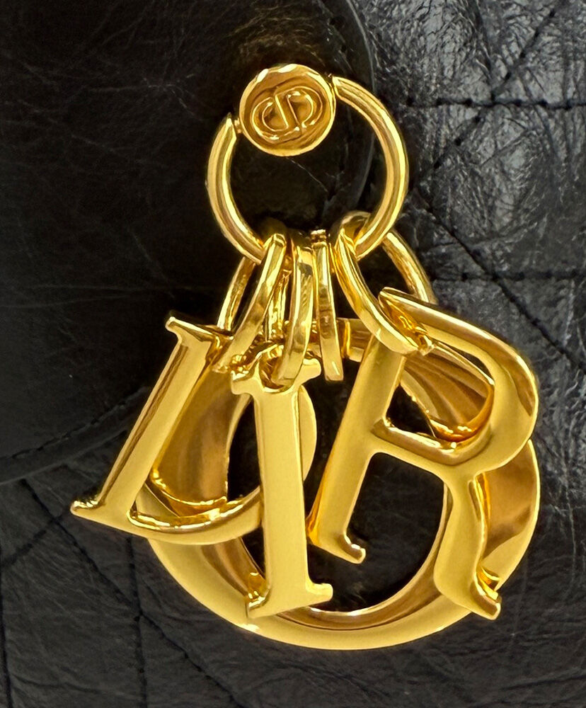 Small Dior Voyage Bag