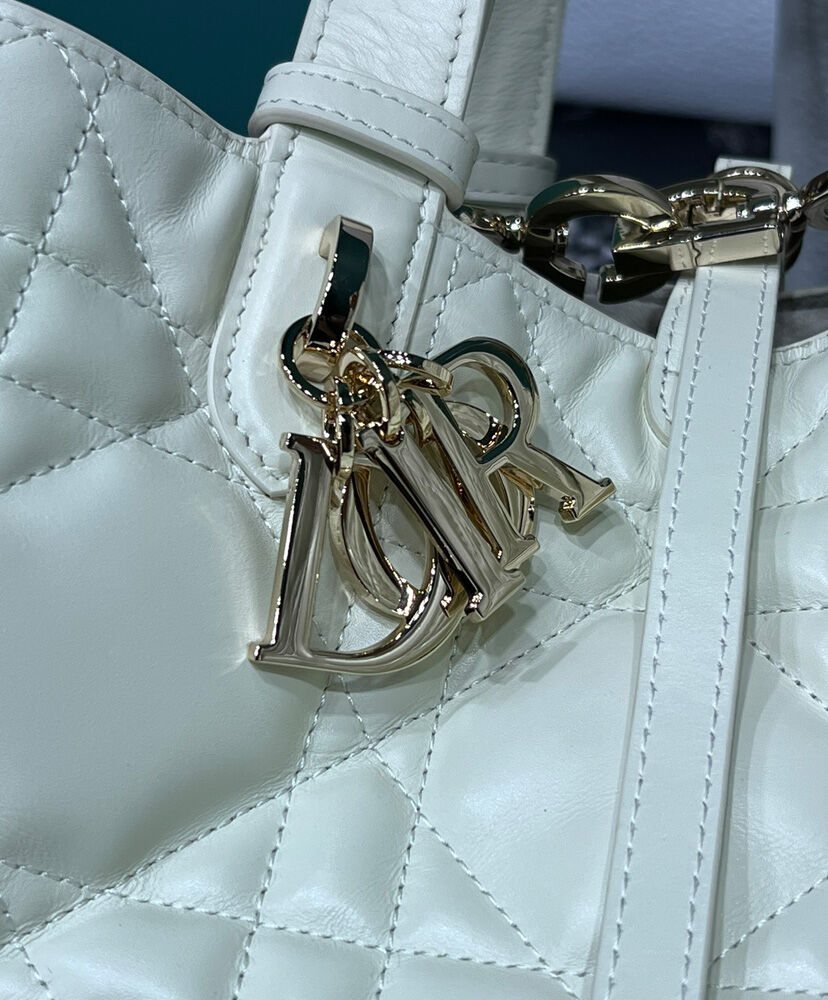 Medium Dior Toujours Bag