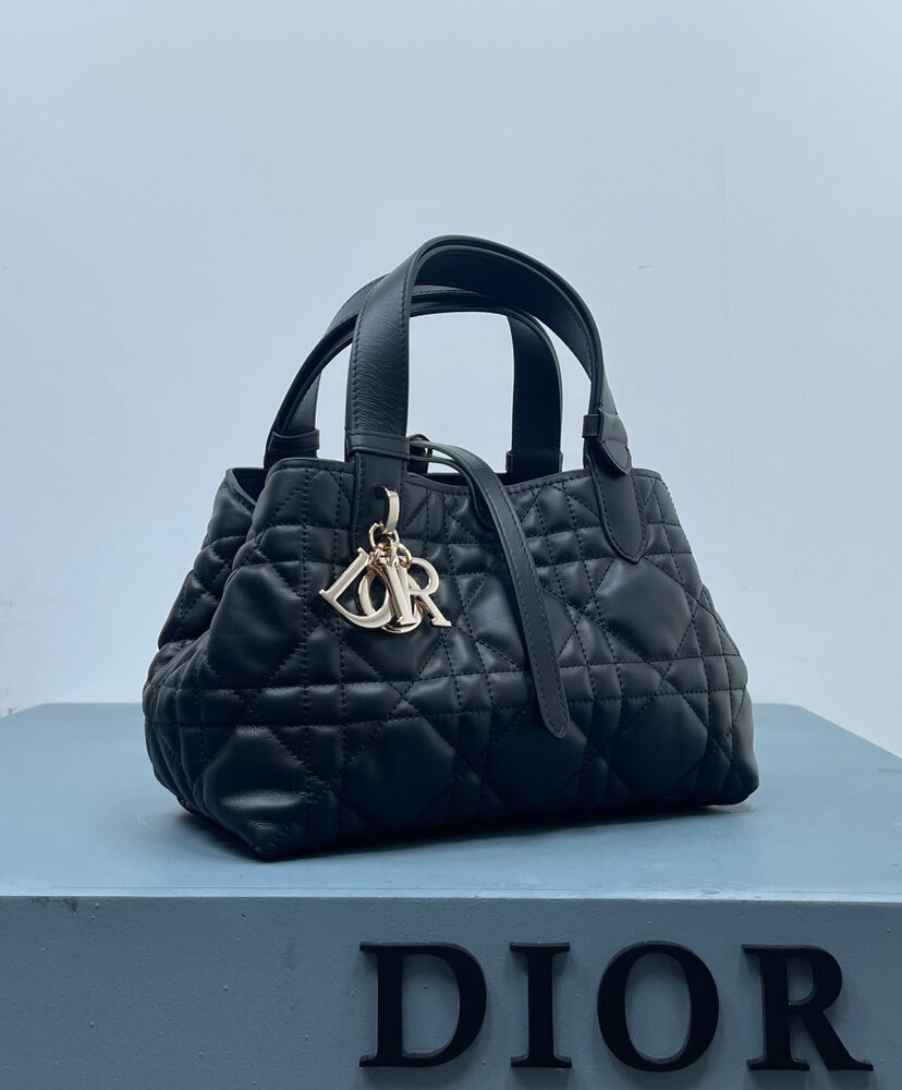 Small Dior Toujours Bag