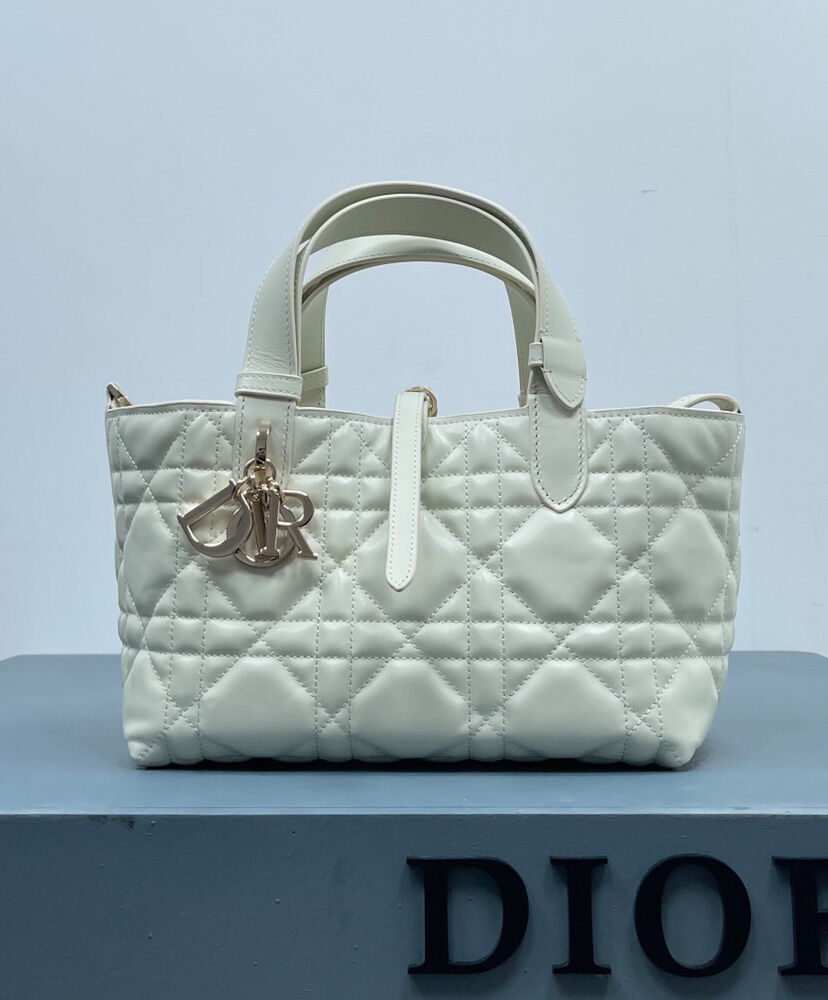 Small Dior Toujours Bag