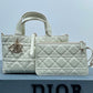 Small Dior Toujours Bag