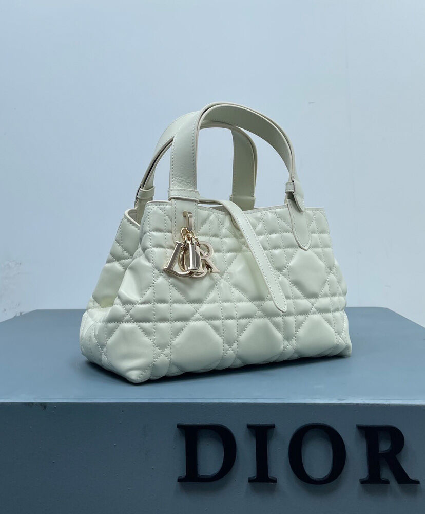 Small Dior Toujours Bag