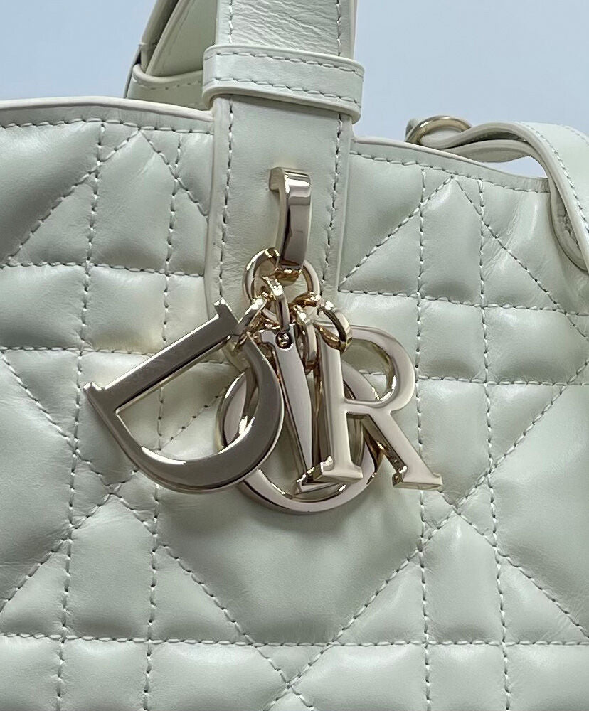 Small Dior Toujours Bag