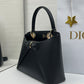 Dior CD 26SS Bag With Elegant Bow
