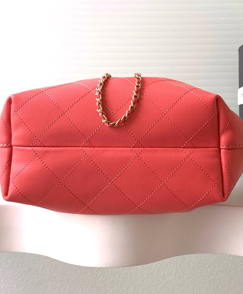 Hobo Handbag