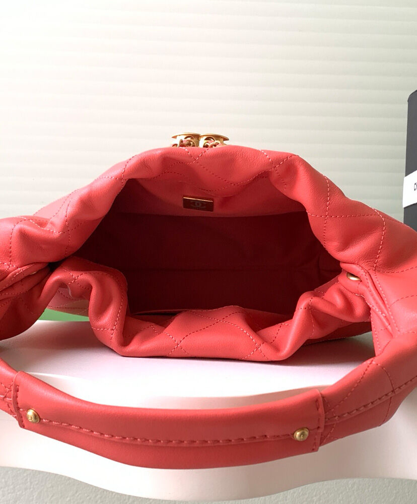 Hobo Handbag