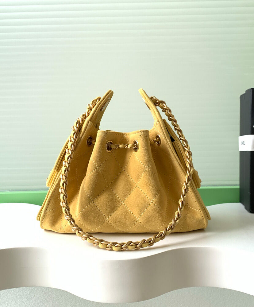 Chanel 25 Mini Handbag