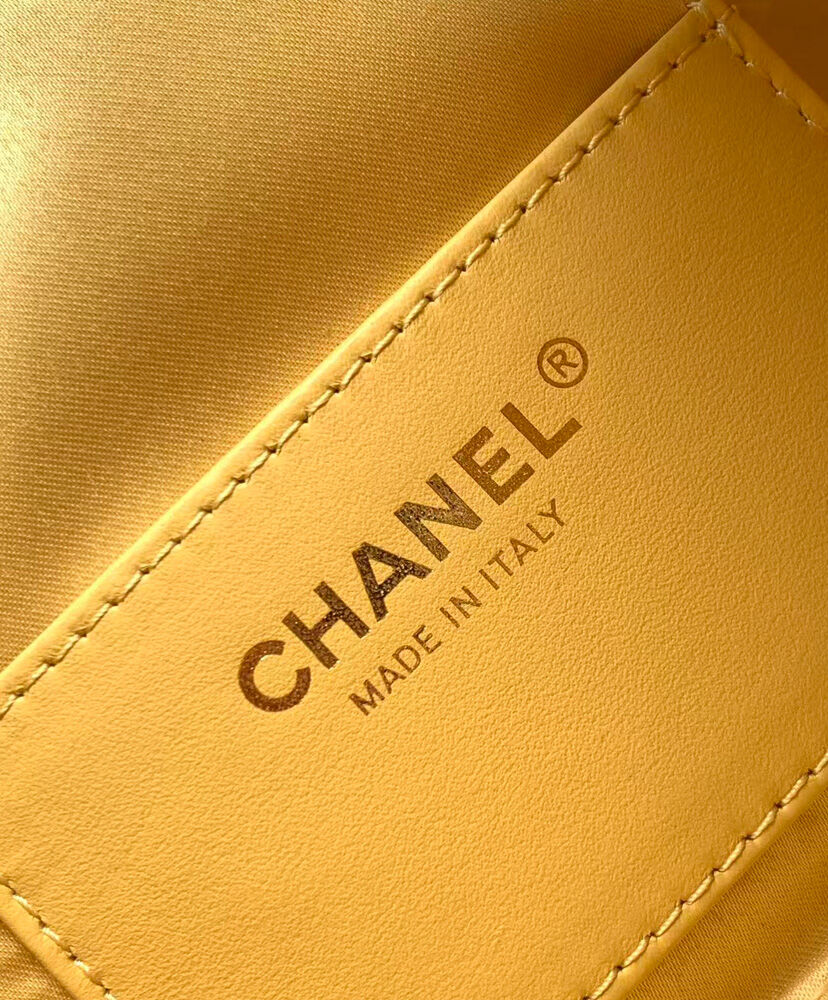 Chanel 25 Mini Handbag