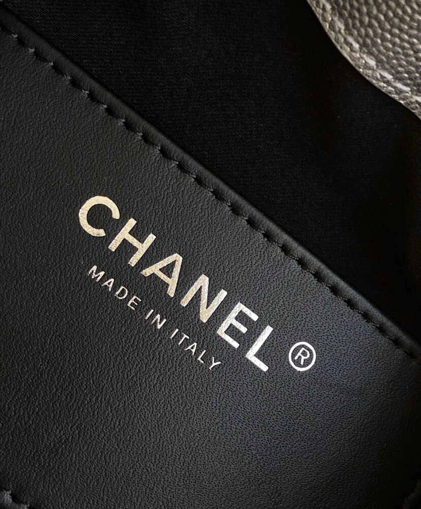 Chanel 25 Mini Handbag