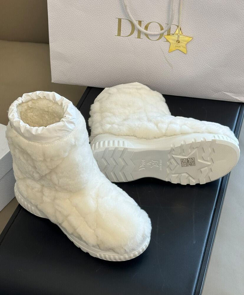 Dior Frost Ankle Boot