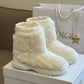 Dior Frost Ankle Boot