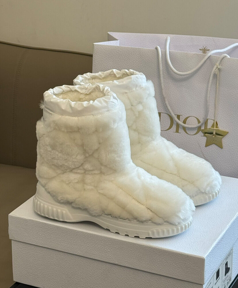 Dior Frost Ankle Boot