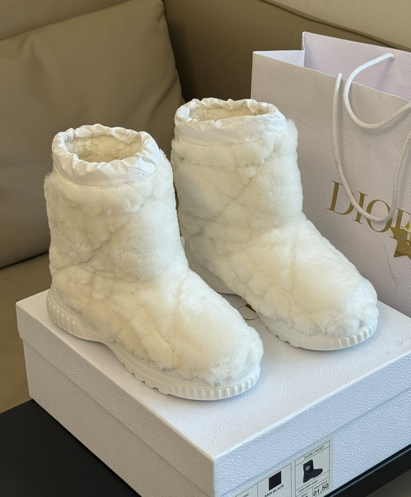 Dior Frost Ankle Boot