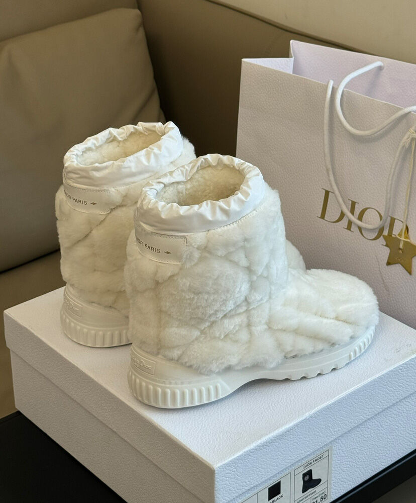 Dior Frost Ankle Boot