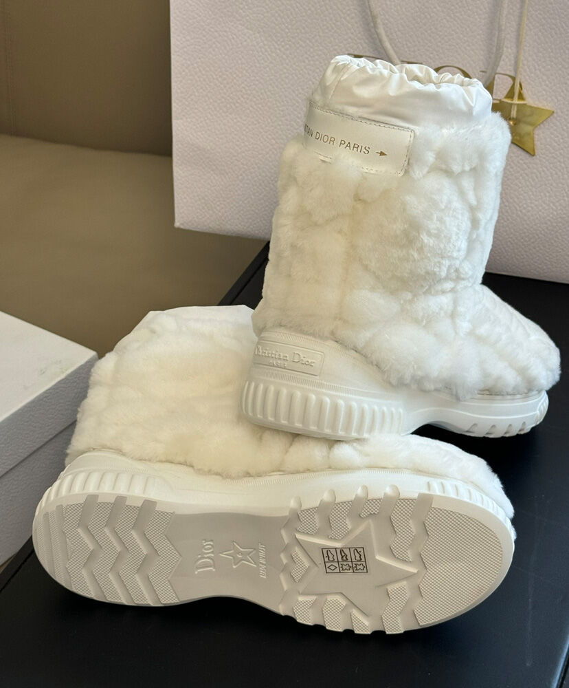 Dior Frost Ankle Boot