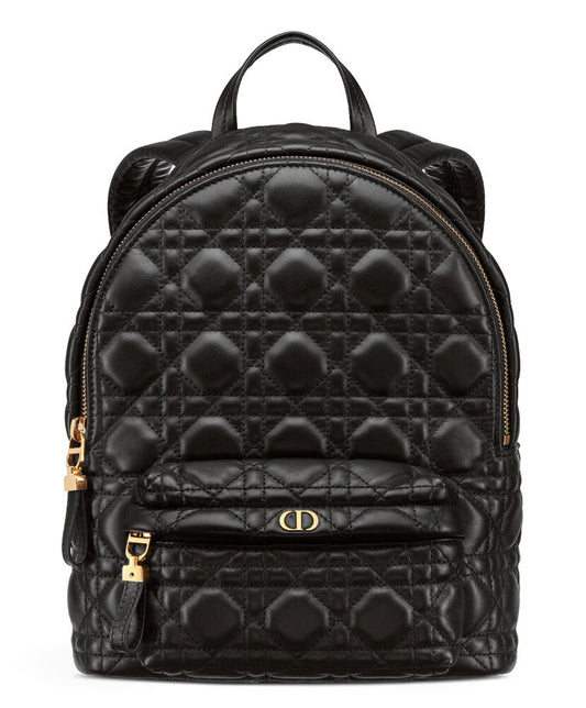 Small Dior Backpack