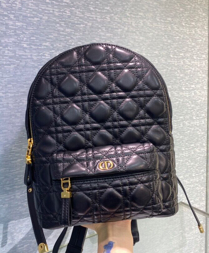Small Dior Backpack