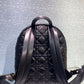 Small Dior Backpack