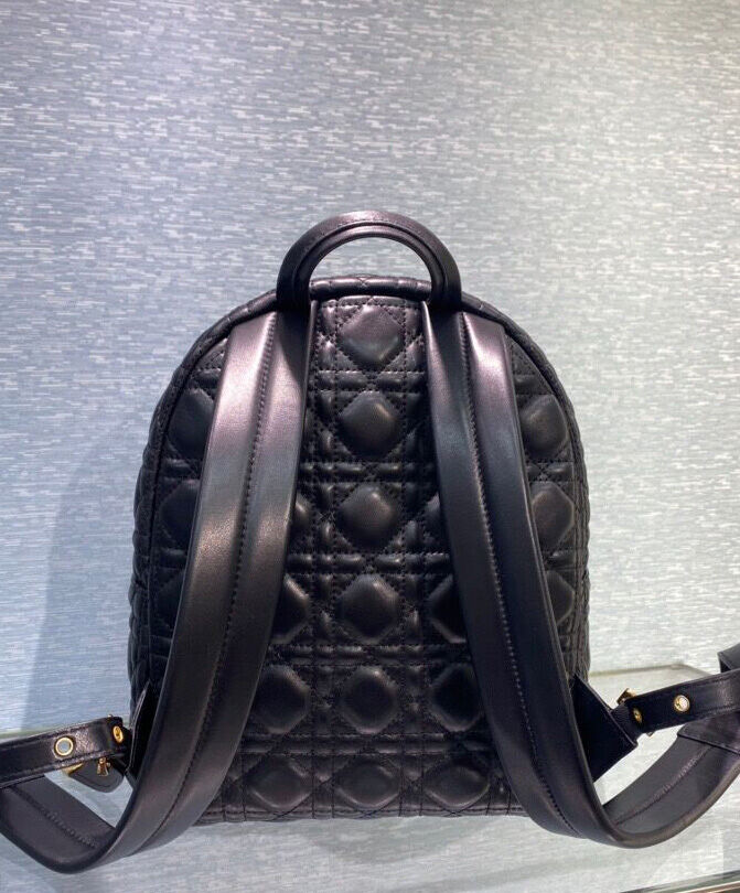 Small Dior Backpack