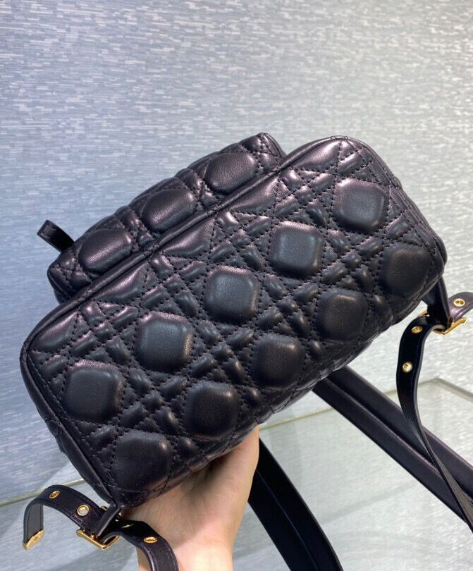 Small Dior Backpack