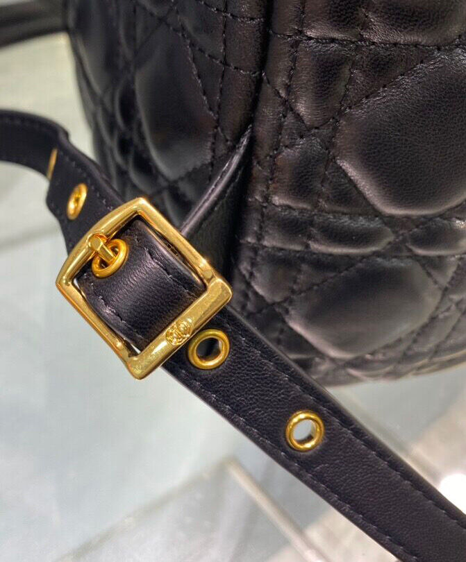 Small Dior Backpack