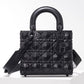 Small Lady Dior My ABCDior Bag