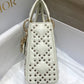 Mini Lady Dior Bag