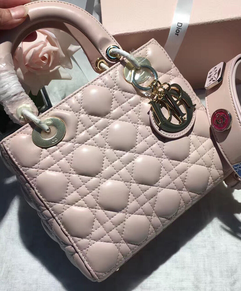 Small Lady Dior My ABCDior Bag - MarKat store