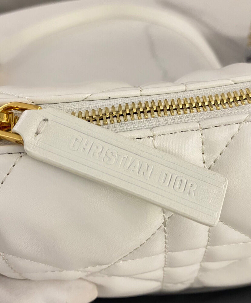 Small Dior Vibe Hobo Bag - MarKat store