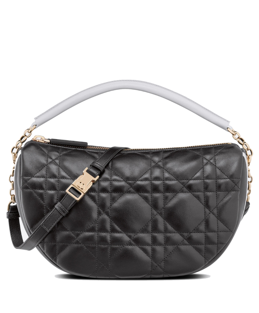 Medium Dior Vibe Hobo Bag - MarKat store