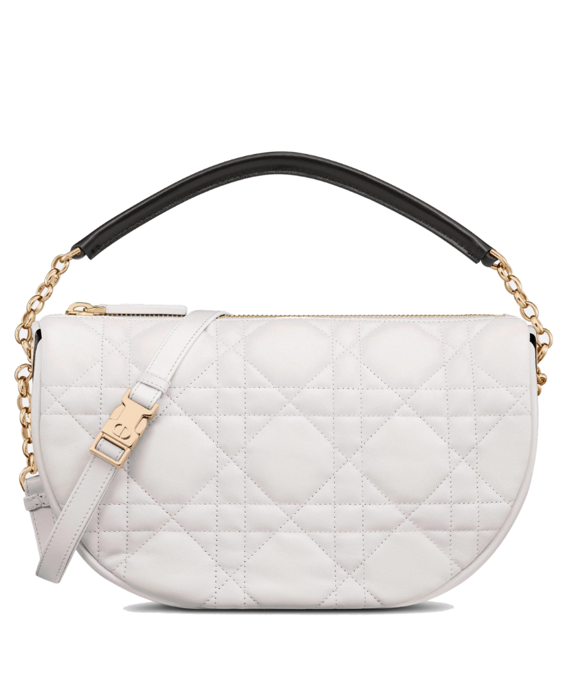 Medium Dior Vibe Hobo Bag - MarKat store