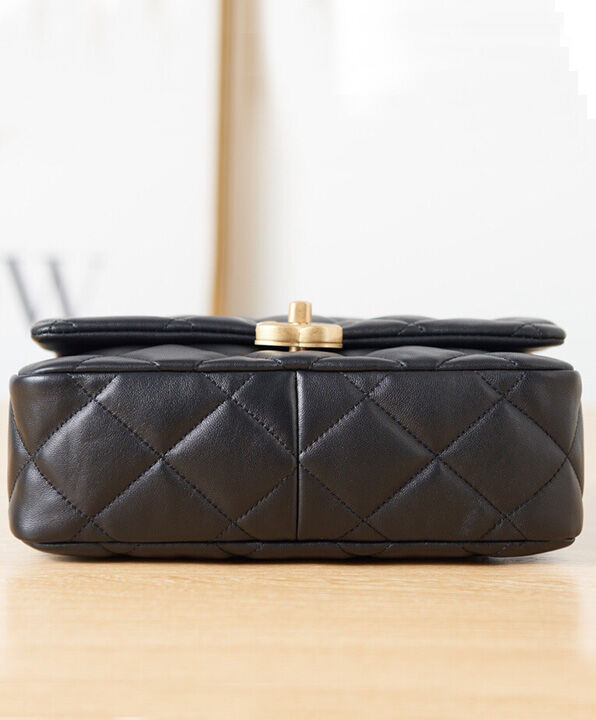 Small Flap Bag