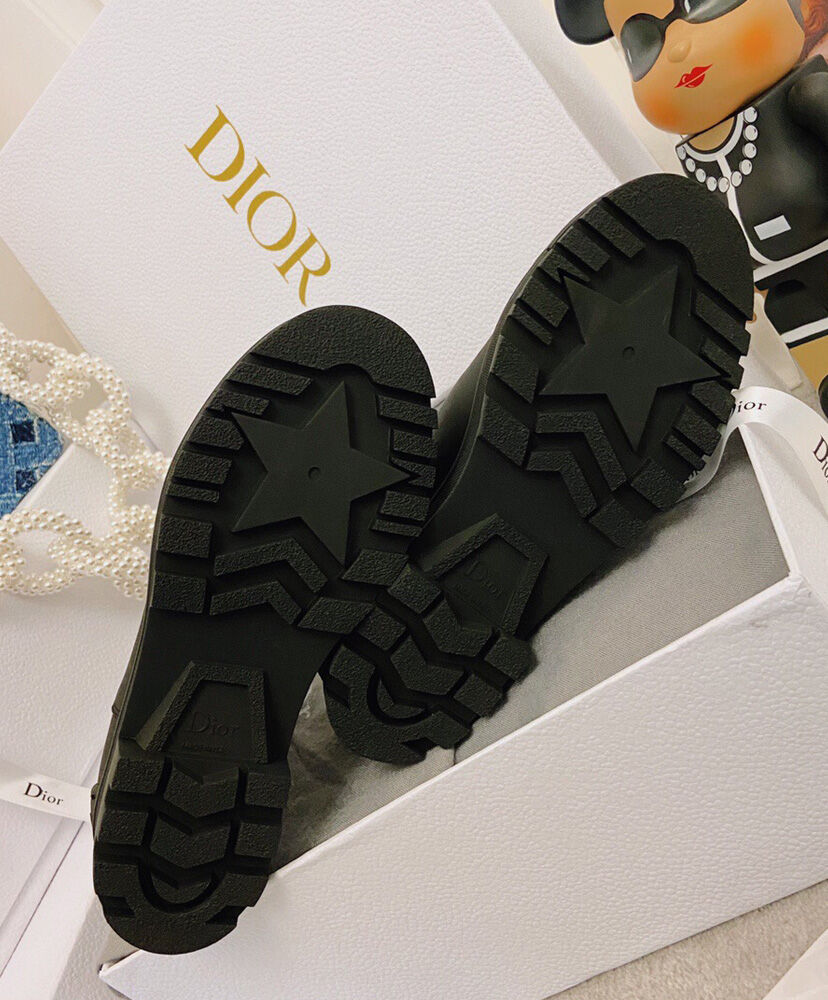 DiorIron Ankle Boot